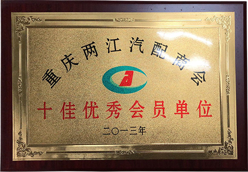 十佳优秀会员单位